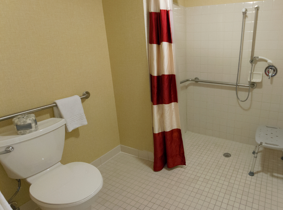 Image of a roll in shower without a ledge or lip. A curtain covers the opening. There's a portable seat within reach of the controls and shower head. There are also grab bars in the shower.